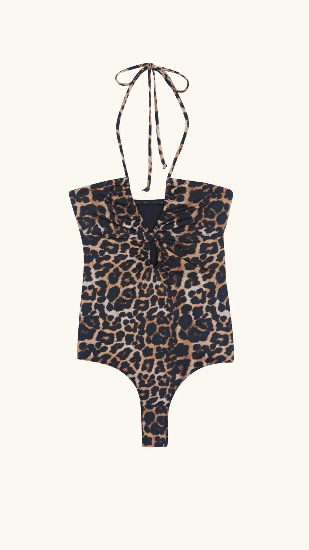 Aosta leopard - Image 8
